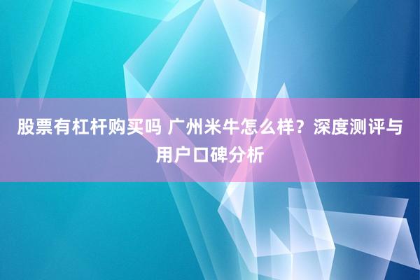 股票有杠杆购买吗 广州米牛怎么样？深度测评与用户口碑分析