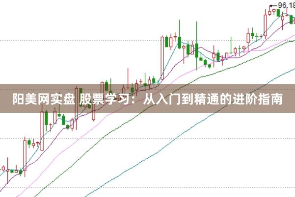 阳美网实盘 股票学习：从入门到精通的进阶指南