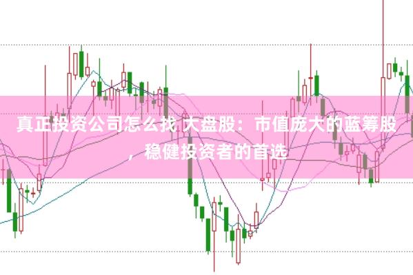真正投资公司怎么找 大盘股：市值庞大的蓝筹股，稳健投资者的首选