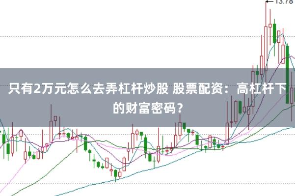 只有2万元怎么去弄杠杆炒股 股票配资：高杠杆下的财富密码？