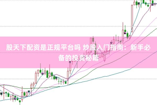 股天下配资是正规平台吗 炒股入门指南：新手必备的投资秘籍