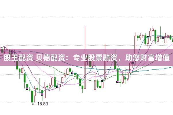 股王配资 贝德配资：专业股票融资，助您财富增值