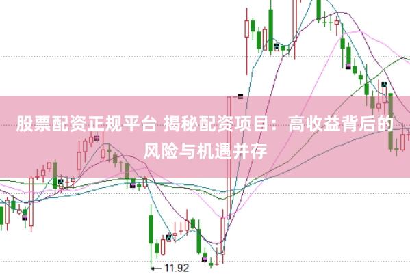 股票配资正规平台 揭秘配资项目：高收益背后的风险与机遇并存