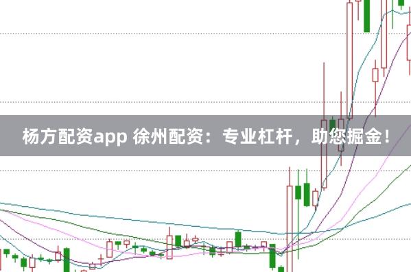 杨方配资app 徐州配资：专业杠杆，助您掘金！