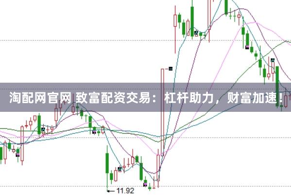 淘配网官网 致富配资交易：杠杆助力，财富加速！