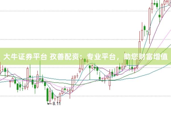 大牛证券平台 孜善配资：专业平台，助您财富增值
