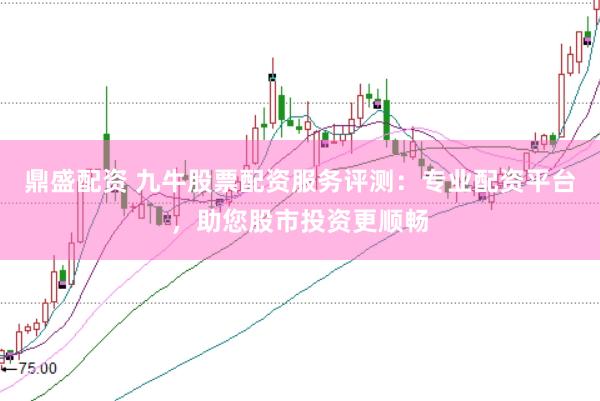 鼎盛配资 九牛股票配资服务评测：专业配资平台，助您股市投资更顺畅