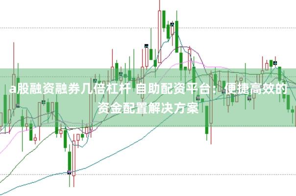 a股融资融券几倍杠杆 自助配资平台：便捷高效的资金配置解决方案
