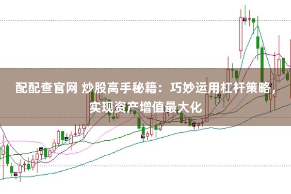 配配查官网 炒股高手秘籍：巧妙运用杠杆策略，实现资产增值最大化