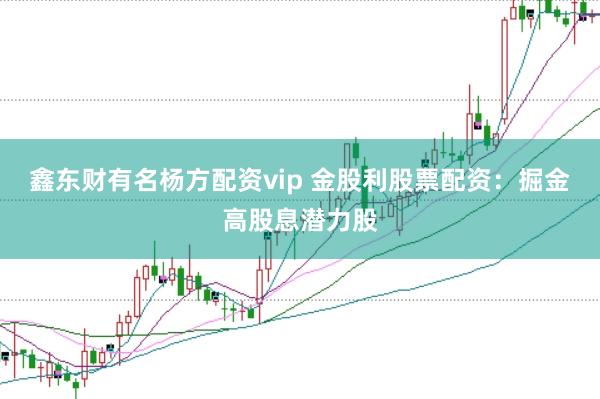 鑫东财有名杨方配资vip 金股利股票配资：掘金高股息潜力股