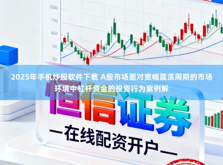 2025年手机炒股软件下载 A股市场面对宽幅震荡周期的市场环境中杠杆资金的投资行为案例解